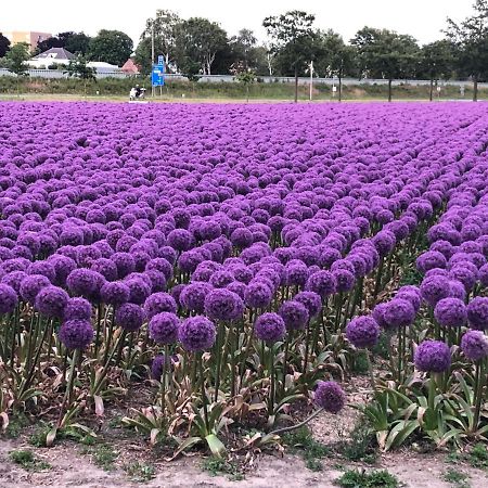 Bed & Breakfast De Vier Seizoenen Lisse Bagian luar foto