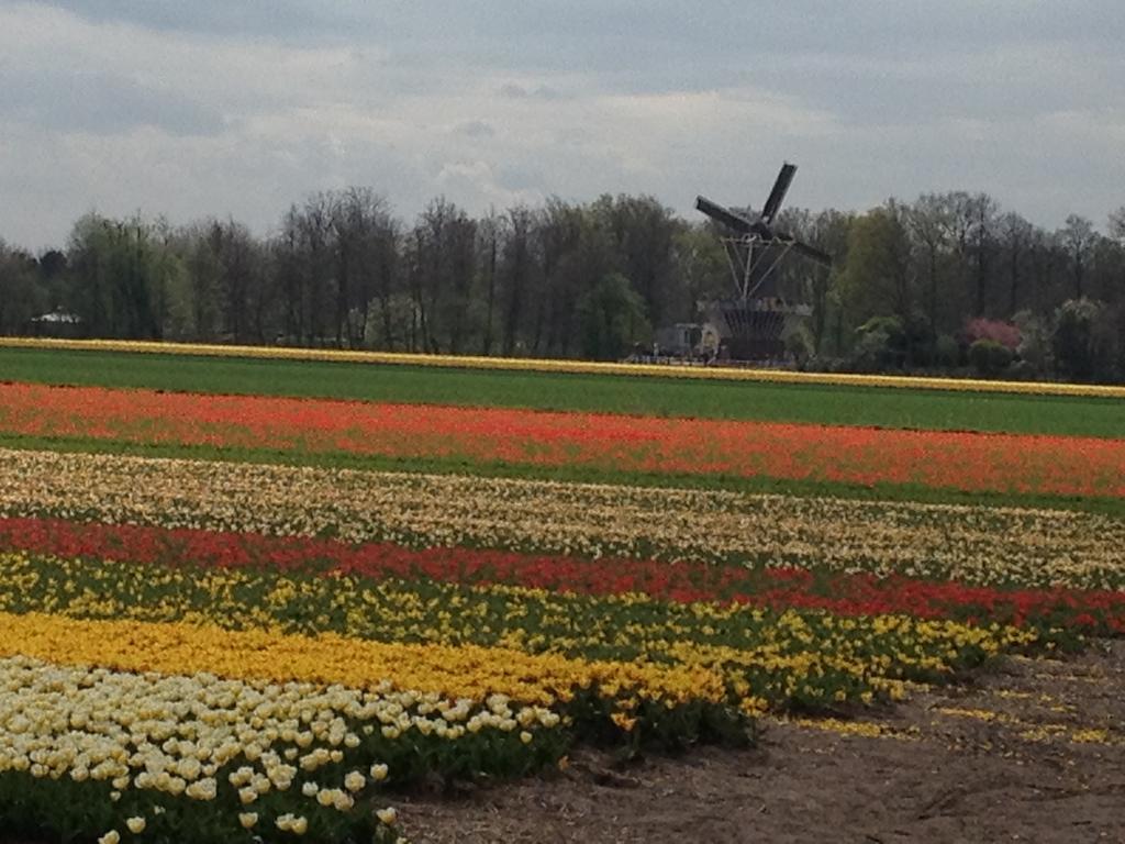Bed & Breakfast De Vier Seizoenen Lisse Bagian luar foto
