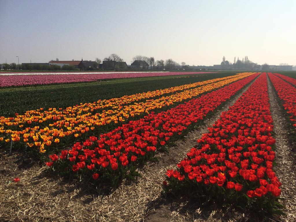 Bed & Breakfast De Vier Seizoenen Lisse Bagian luar foto