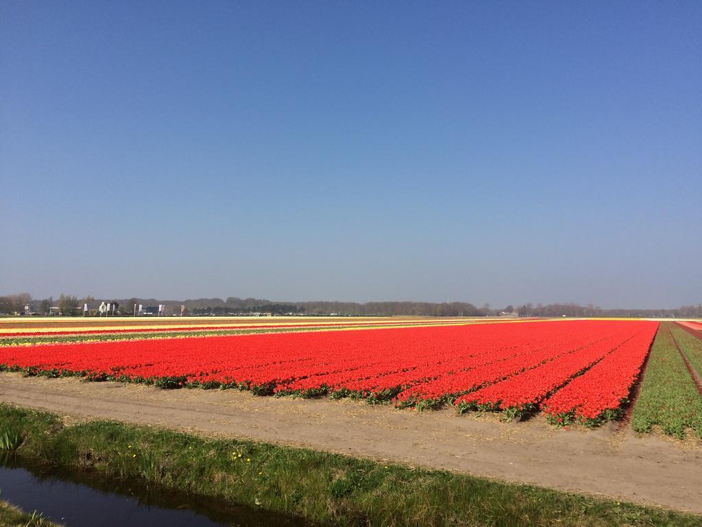 Bed & Breakfast De Vier Seizoenen Lisse Bagian luar foto